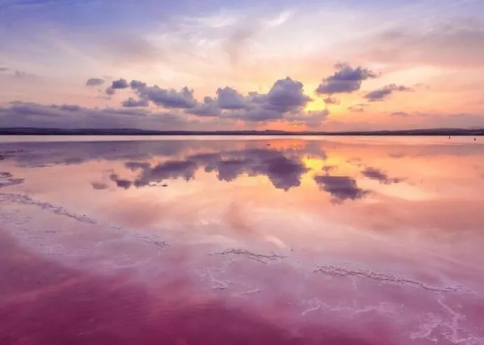 With Pool & Balcony Less Than 10min Walk To La Mata Beach! Appartement